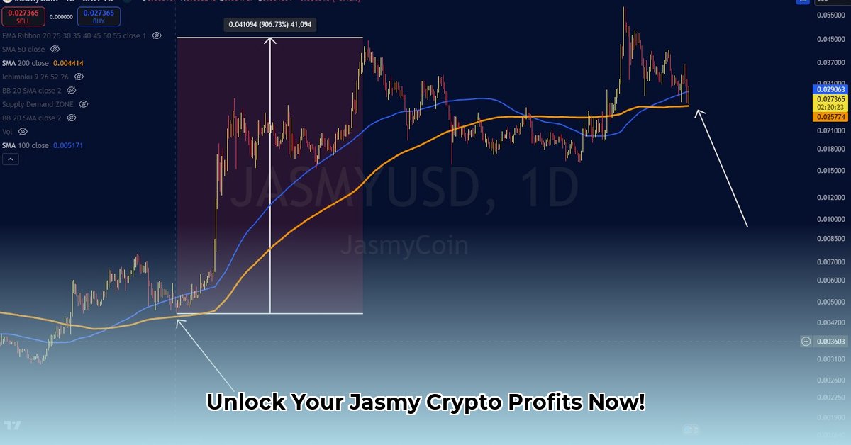 jasmy-profit-calculator